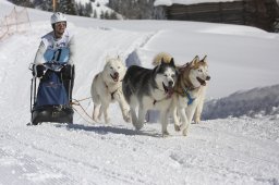 Kandersteg 2013